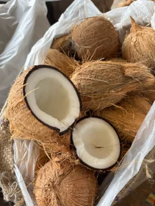 Semi-Husked Coconut