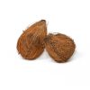 Semi Husked Coconut Type 2