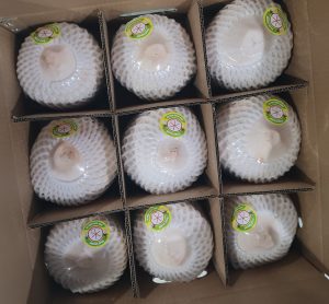 Vietnamese coconuts