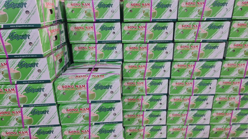 Viet Nam's coconuts exports to skyrocket thanks to shipments to China