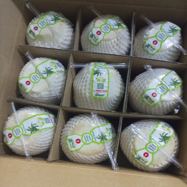 Building the brand "Green and Safe Vietnamese Coconut"