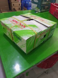 Fresh Young Coconut areas in Vietnam