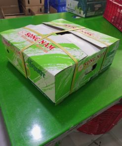 Fresh Young Coconut areas in Vietnam