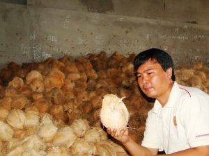 Dried Coconut Exports from Vietnam