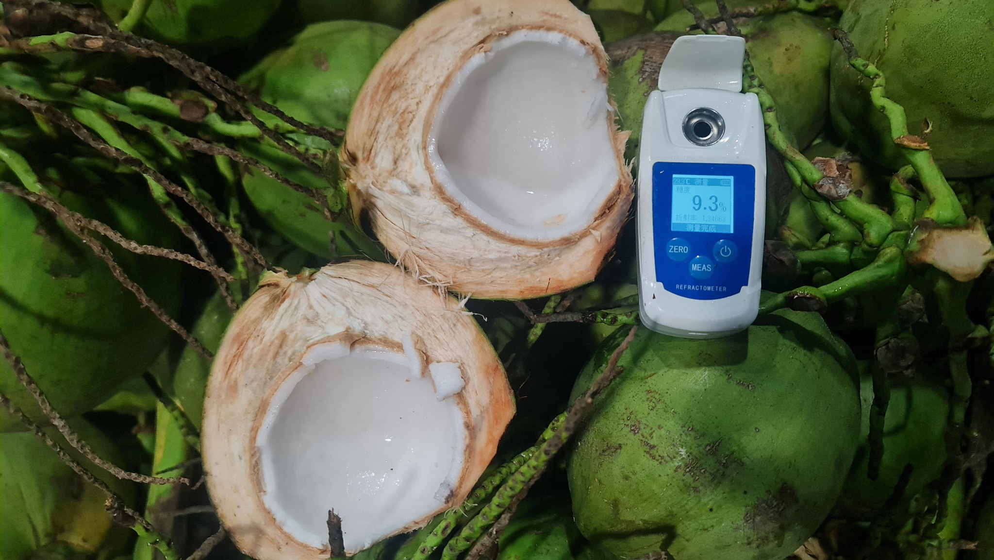 486472700_687025514282774_3216133589871658384_n