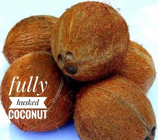 FullyHuskedCoconut