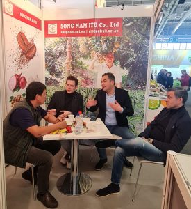 Fresh coconut export business in VIETNAM