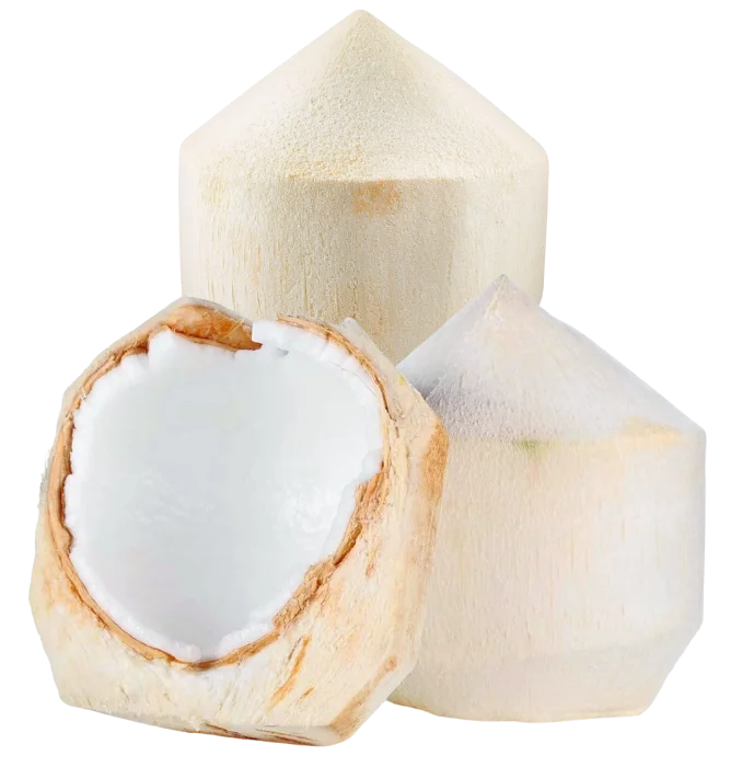 Why Vietnam is strong in fresh young coconut export?