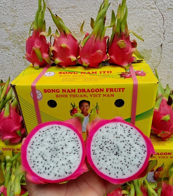White Flesh Dragon Fruits after Vapour Heat Treatment and Cooling