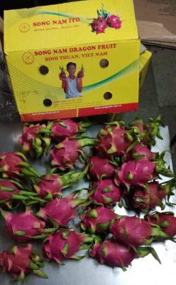 Yellow box of Song Nam dragon fruit in Indian market
