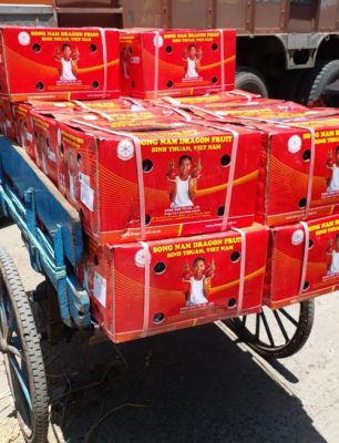 Red boxes of Song Nam dragon fruit in Chennai, India