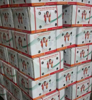 Song Nam White Boxes of Dragon fruits for Indian market