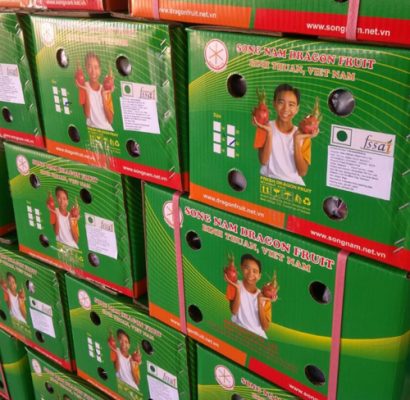 Green boxes of Song Nam dragon fruits for Indian market