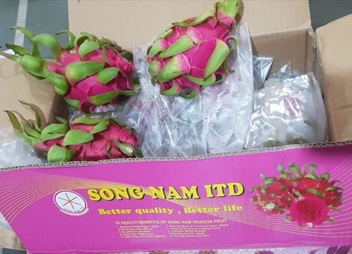 Pink box of Song Nam red flesh dragon fruits in Indian market